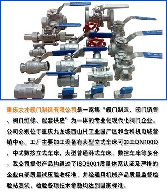 双向密封偏心半球阀